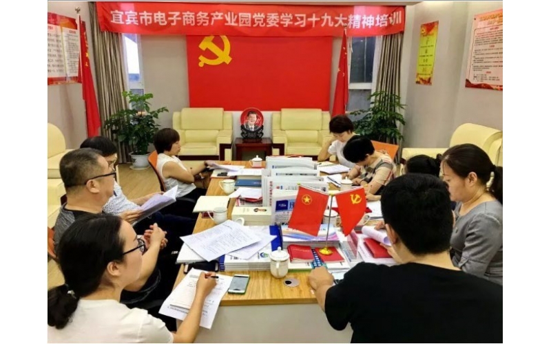 區(qū)商務(wù)局黨委開展“兩新組織”企業(yè)黨建調(diào)研工作